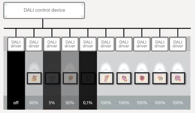 control dalí